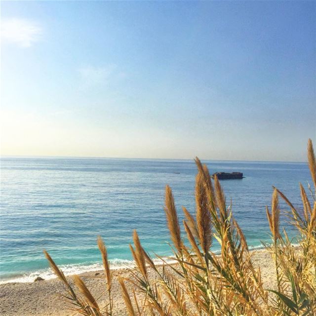 Perfect gateway 🌾🌤 @liveloveamchit (Amchitt, Mont-Liban, Lebanon)