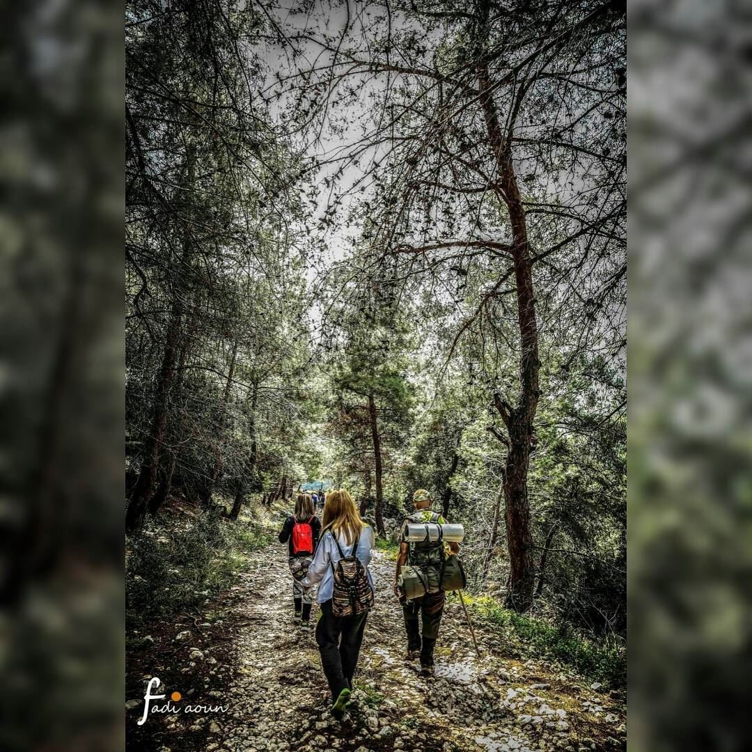  photo  fadiaounphotography  hiking  nature  lebanon   forest ...