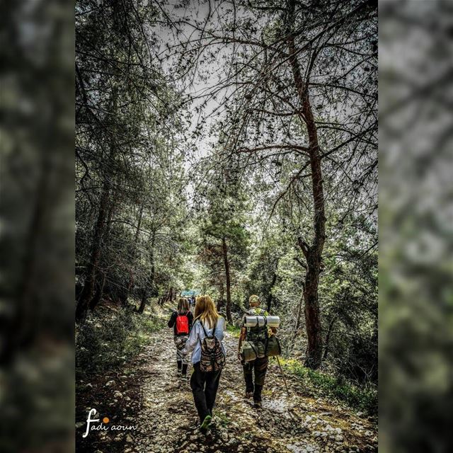  photo  fadiaounphotography  hiking  nature  lebanon   forest ...