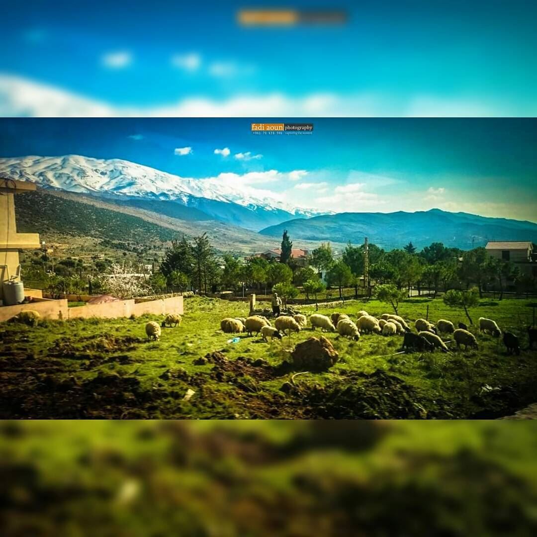  photo  fadiaounphotography  nature  lebanon  zahle  photoshooting ...