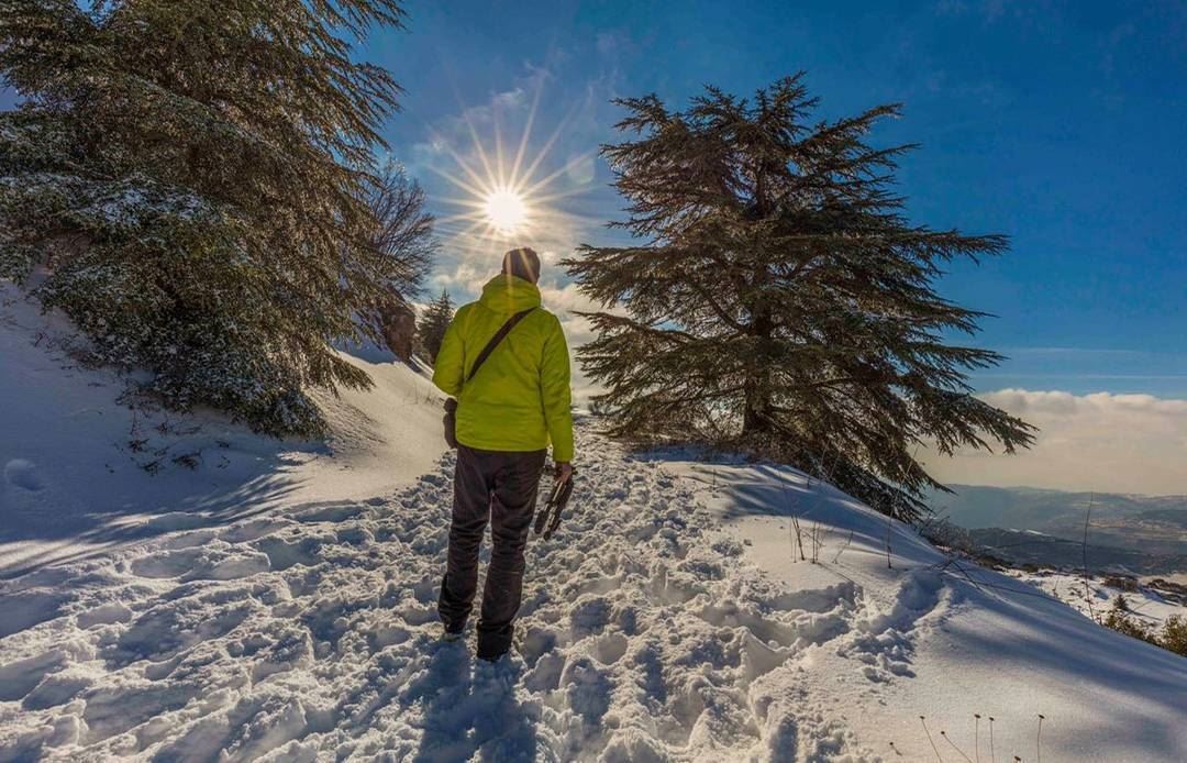  photographer  hiking  shouf  cedars  lebanon  sun  day  light  snow ... (Al Shouf Cedar Nature Reserve)