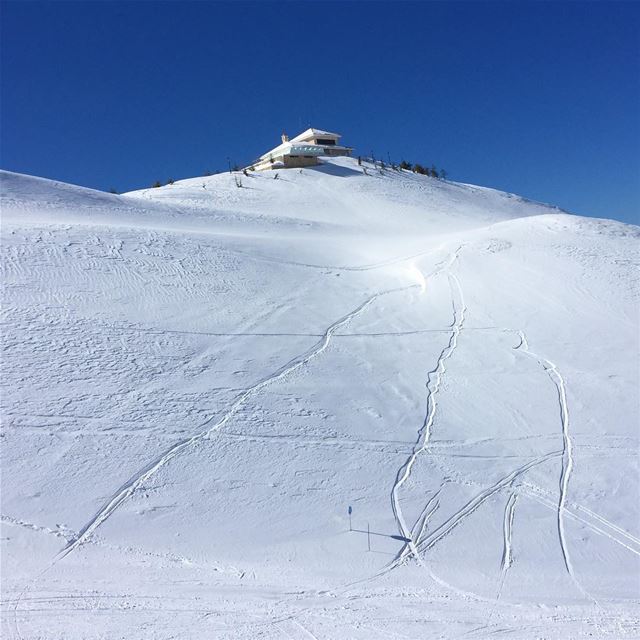  photographer  photography  ptk_lebanon  beautifullebanon  beautiful  snow... (Zaarour)