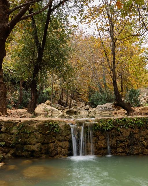 🍂🍁... photography photographer photooftheday landscape... (South Governorate)
