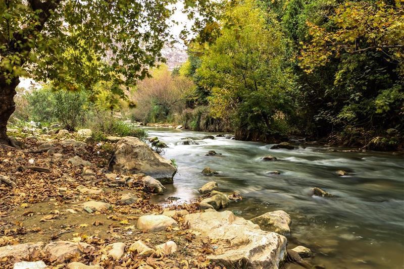 🍂🍁... photography photographer photooftheday landscape... (Zawtar Al Gharbiyah, Al Janub, Lebanon)