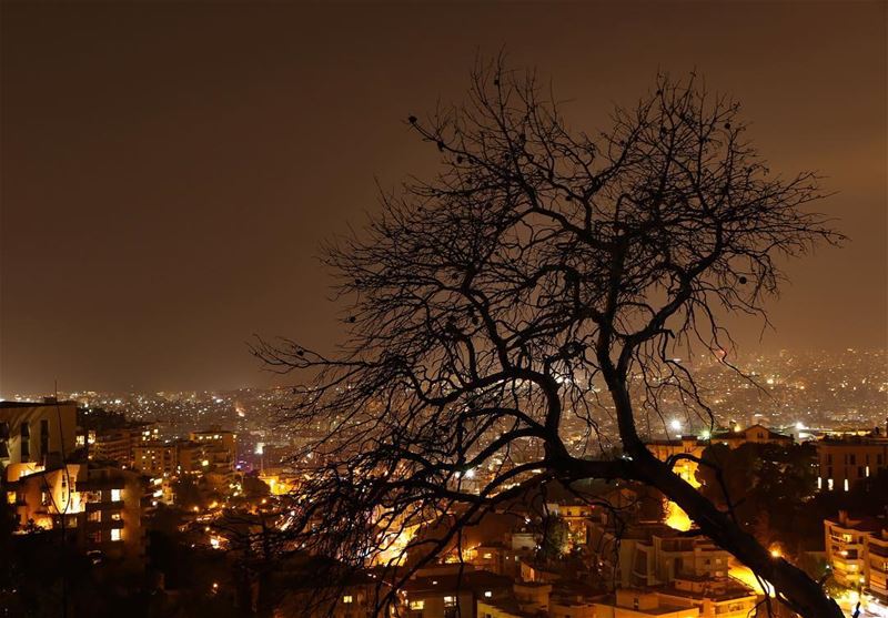 ✨.... photography photographer photooftheday picoftheday... (Baabda)
