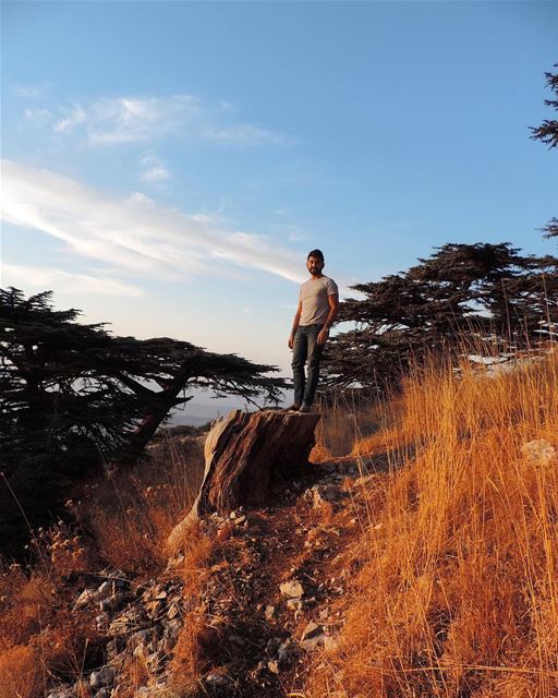 ..... photography photographer photooftheday picoftheday laugh... (Al Shouf Cedar Nature Reserve)