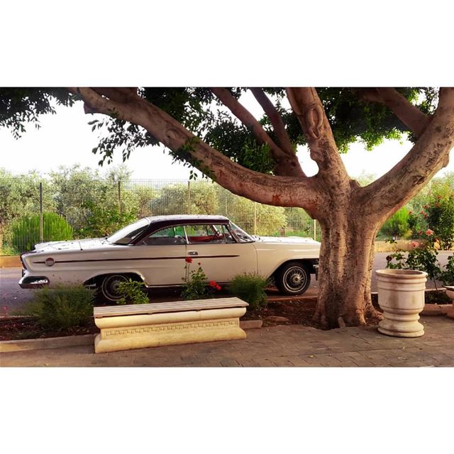  photography photooftheday old car vintage oldies sunset insta view...