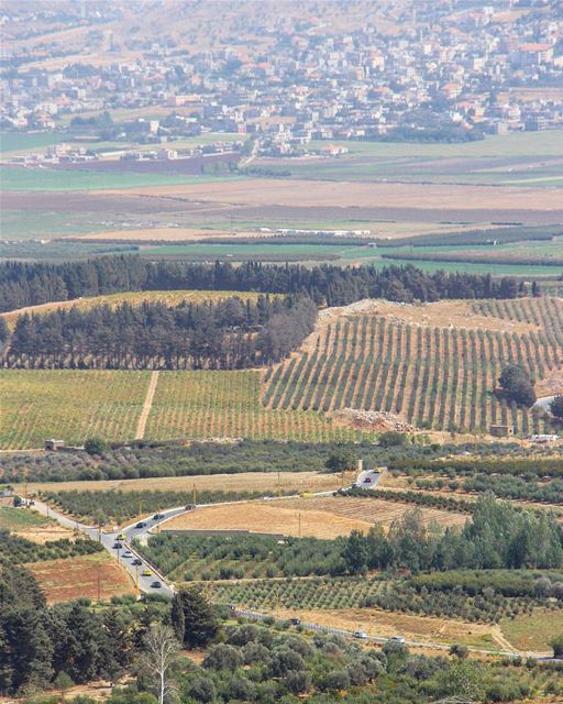 Pick your color 🚘 (Khirbet Qanafâr, Béqaa, Lebanon)