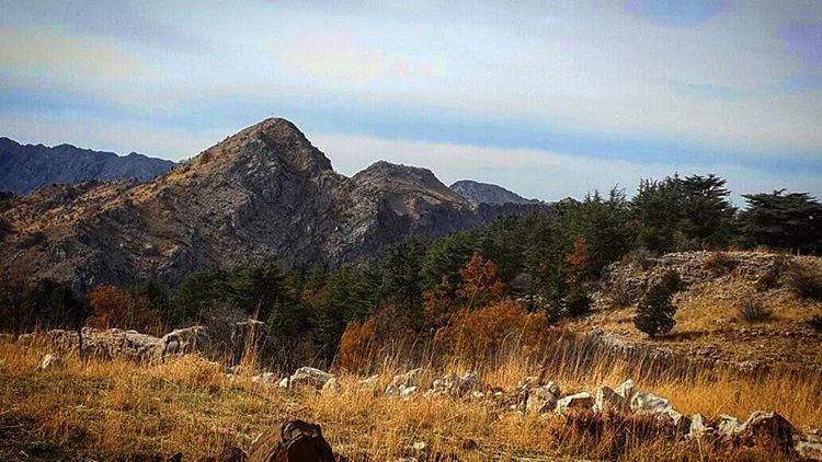  Picoftheday pic lebanon mylebanon mountain tannourine nature naturelover...