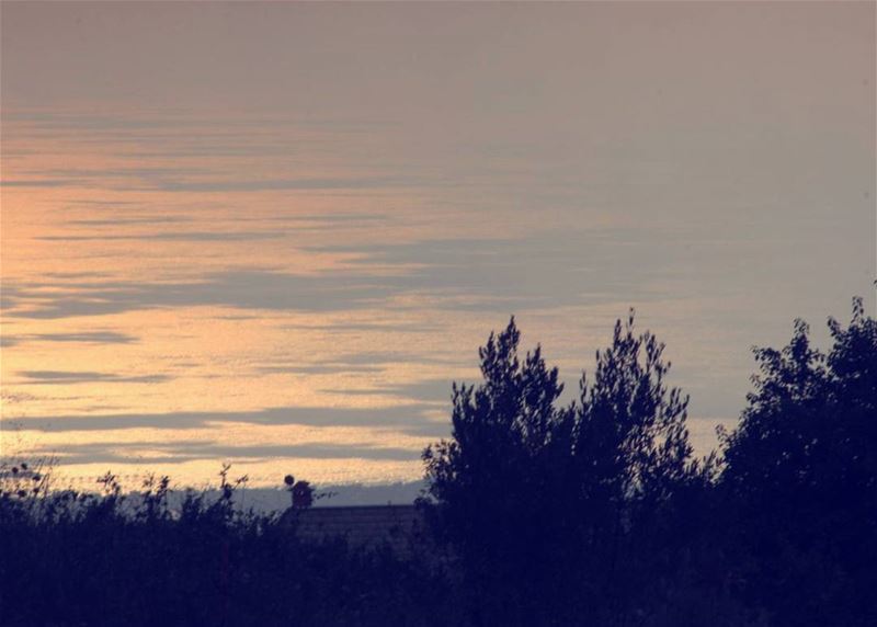  picoftheday world lebanon beirut mountain high sea trees sunset timing...