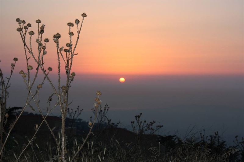  picoftheday world lebanon summer takemeback sunset perfect orange black...