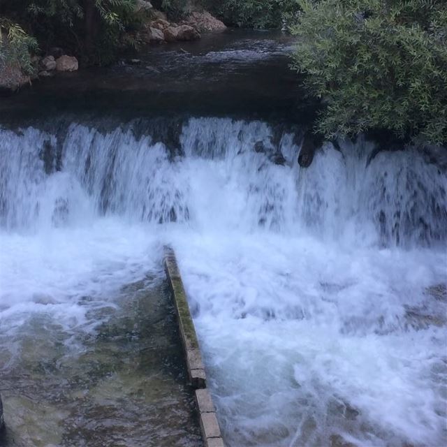  pictureoftheday  pictures_of_lebanon  lebanon  bekaa  westbekaa  zahle ... (عين الزرقا Al Fawar Park)