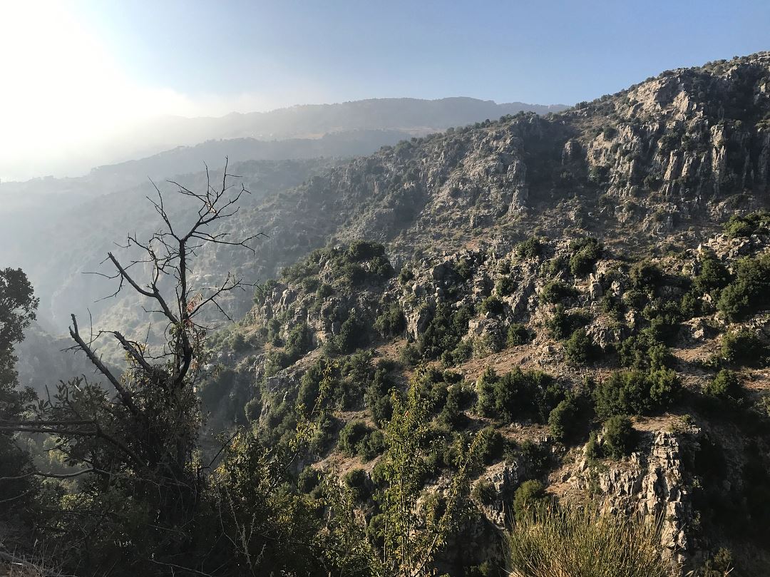 Plus tard j'irai élever des chèvres  dans ces montagnes 🐑 lebanon ...