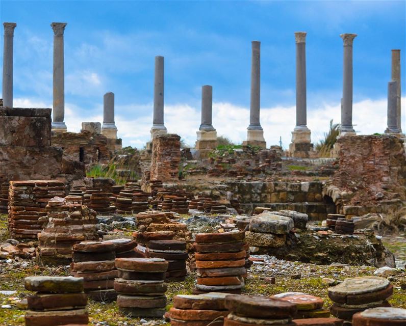 Poetry of earth .... morning culture lebaneseculture oldhouse... (Tyre, Lebanon)