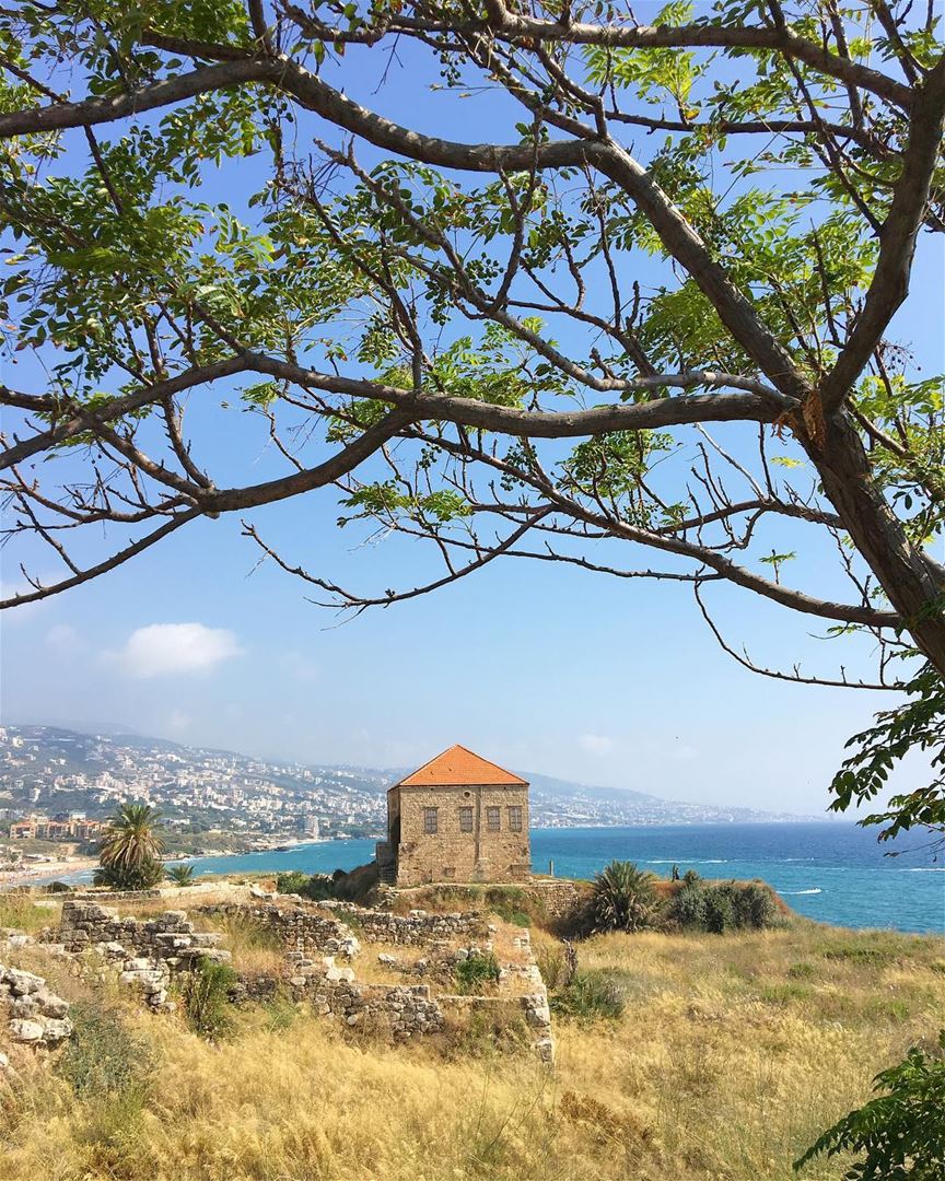 😍... proudlylebanese  beautifullebanon  livelovebeirut  ig_lebanon ... (Byblos, Lebanon)