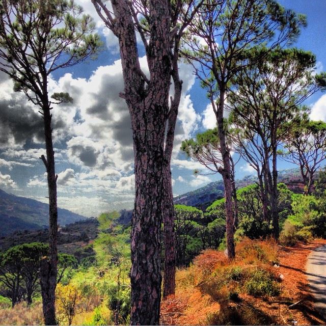  proudlylebanese  purelylebanese  prolebanon  lebanon  lebanon_hdr ...