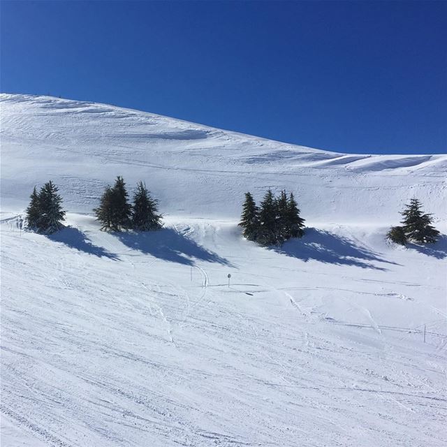  ptk_lebanon  ig_lebanon  beautifullebanon  lebanon  natureshots ... (Zaarour)