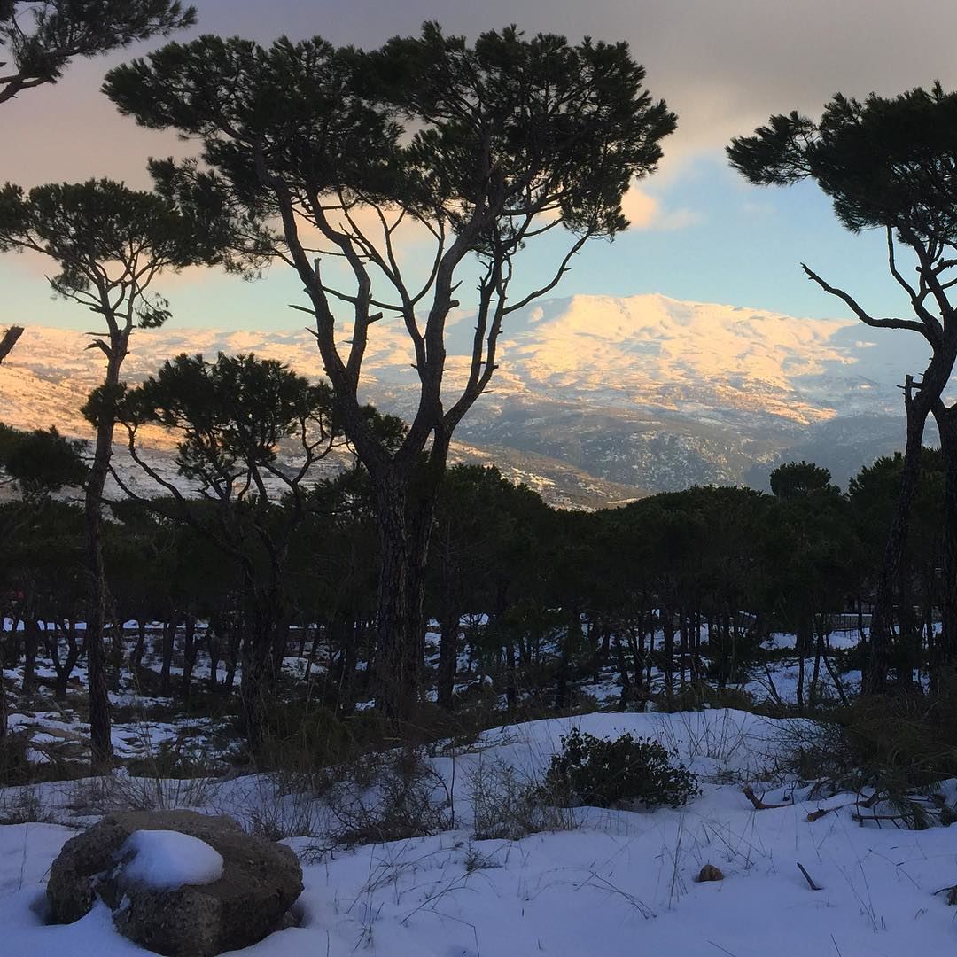  ptk_lebanon  ig_lebanon  beautifullebanon  lebanon  natureshots ... (Bologne, Mont-Liban, Lebanon)