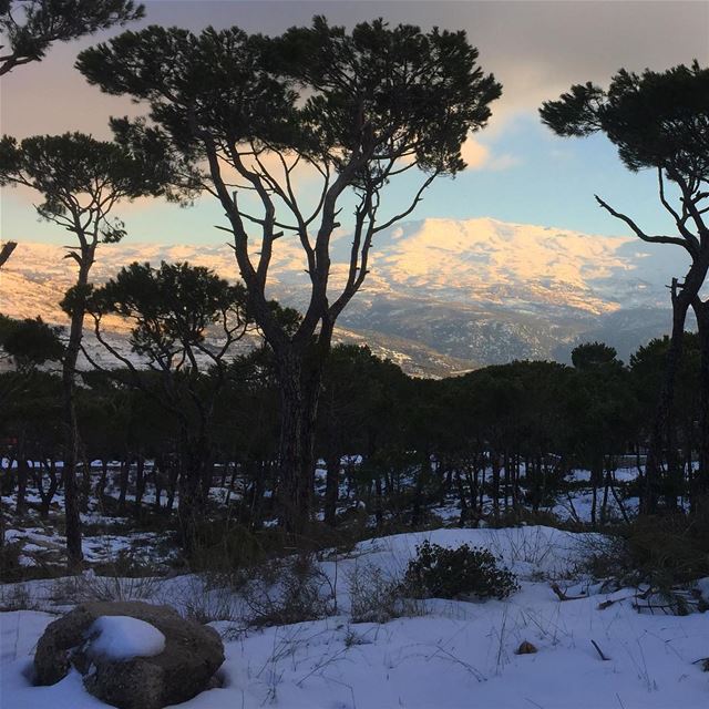  ptk_lebanon  ig_lebanon  beautifullebanon  lebanon  natureshots ... (Bologne, Mont-Liban, Lebanon)