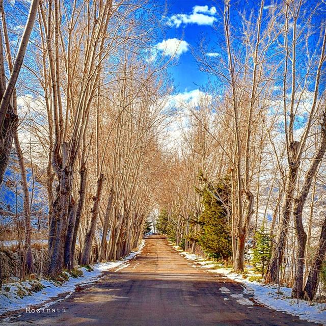  ptk_lebanon streetphotography ig_street nikon5300 globalcapture... (El Laklouk, Mont-Liban, Lebanon)