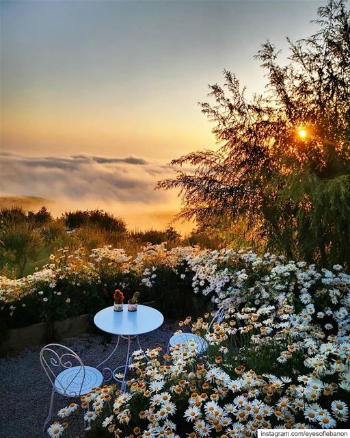 Qanat Bakish above the clouds 😍Credits to @georgesaj ・・・‏... (Qanat Bakish, Mont-Liban, Lebanon)