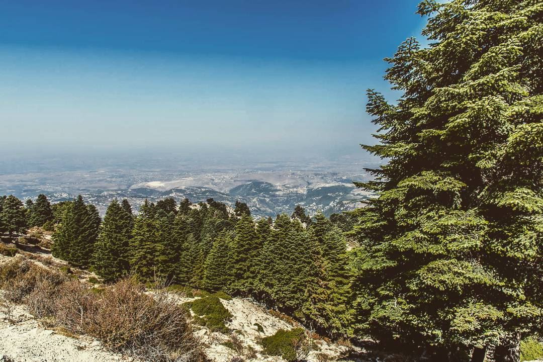 Qobayat . . . . . . . . . __________________________________________... (Al Qubayyat, Liban-Nord, Lebanon)