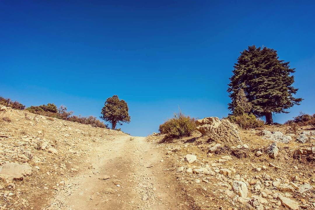 Qobayat . . . . . . . . . __________________________________________... (Al Qubayyat, Liban-Nord, Lebanon)