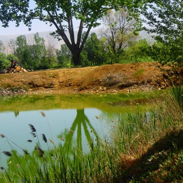 reflection forestpark lakewatertreesdiscoverlebanon whatsuplebanon loves_lebanon