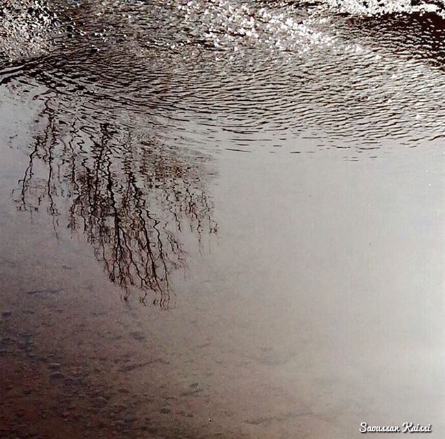  reflection  water river  monochrome ...