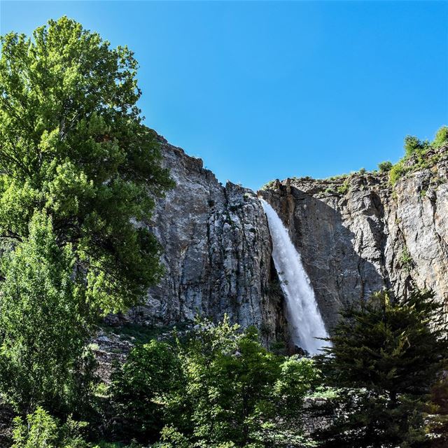 Refresh and revive your week 💚💙 (Faraya, Mont-Liban, Lebanon)