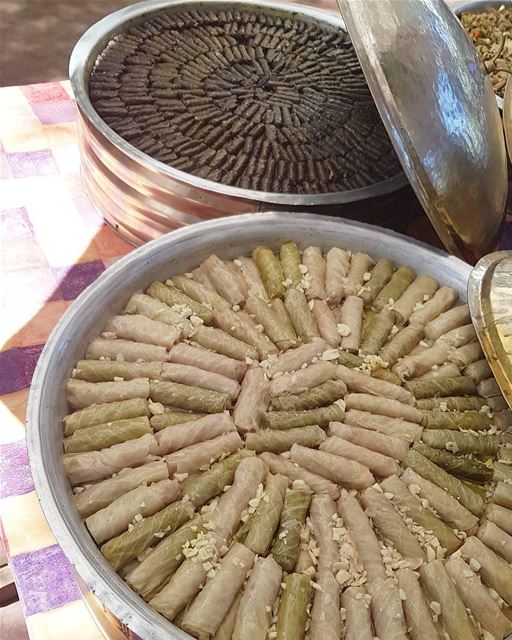 Repolho ou folha de uva? 🇱🇧 Cabbage or grape leaves?  lebanesefood ...