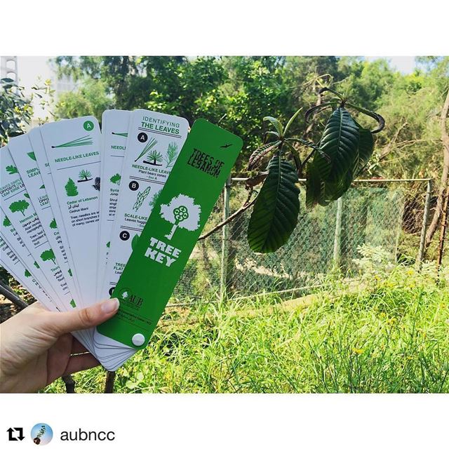  Repost @aubncc with @repostapp・・・Can we take a moment to appreciate our...