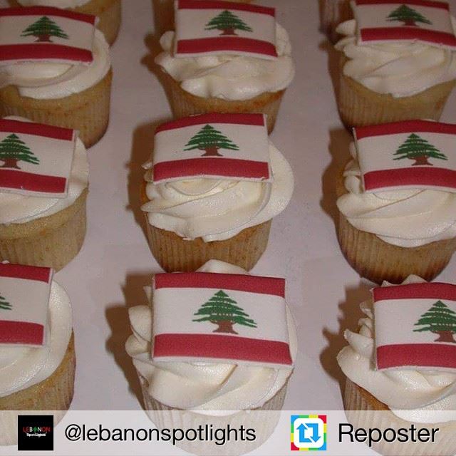 Repost from @lebanonspotlights by Reposter @307apps