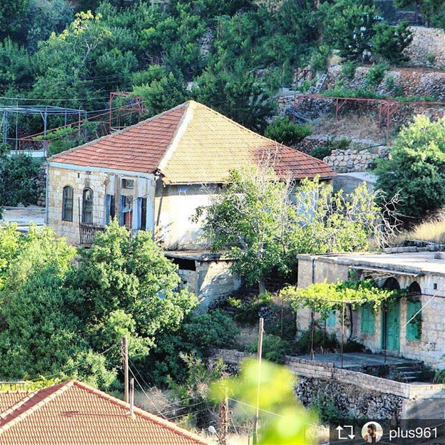 Repost from @plus961  Can you hear the silence? 🏡 walkthroughsaghbine ... (Saghbîne, Béqaa, Lebanon)