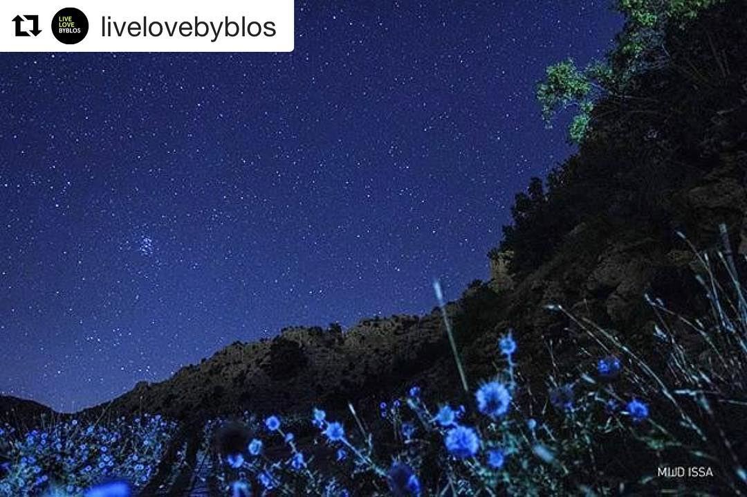  Repost @livelovebyblos (@get_repost)・・・The nights of wonder...... (Byblos - Jbeil)