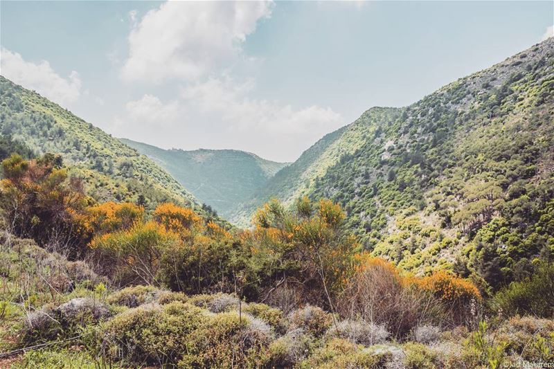 Rimat (Rimât, Al Janub, Lebanon)