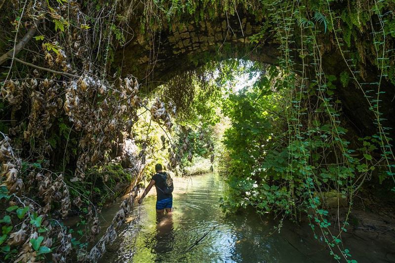 River, forest, bridge  lebanon ... (El-Hakour, Liban-Nord, Lebanon)