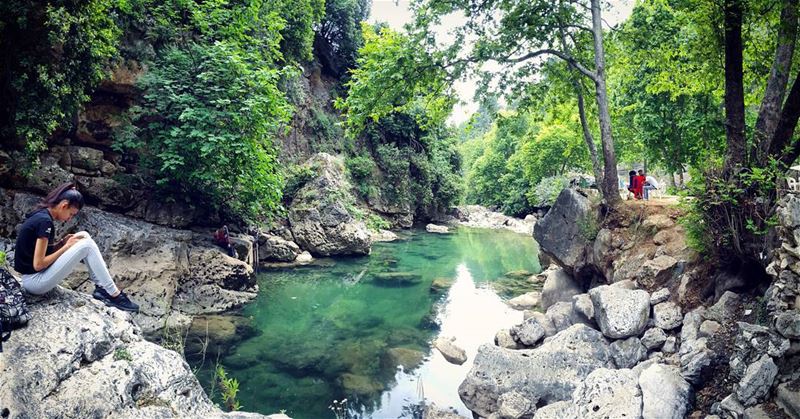  river rocks green trees chill relax summer vibes cool water views of... (Yahchouch)