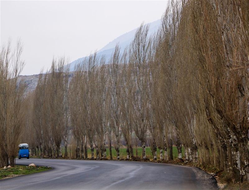 Road trip 🚙... photography photographer photooftheday landscape... (Qabb Ilyas, Béqaa, Lebanon)
