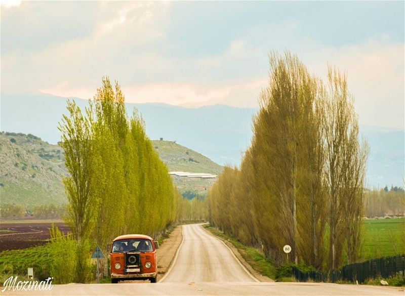  roadtrip roadtrippin streetshot streetstyle street ig_street oldcar trees... (`Ammiq, Béqaa, Lebanon)