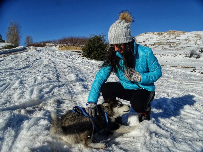 Rocky ❄️ (Sannin, Mont-Liban, Lebanon)