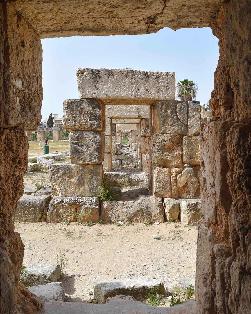 Roman forum, Tyre proudlylebanese  beautifullebanon  livelovebeirut ... (Tyre, Lebanon)