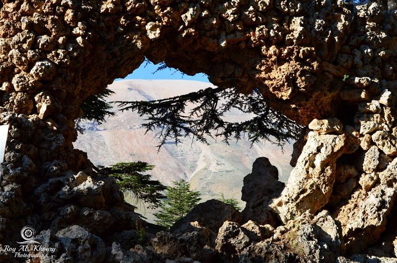  RoyALKhouryPhotography  cedars  lebanon  photography  photo  photos ...