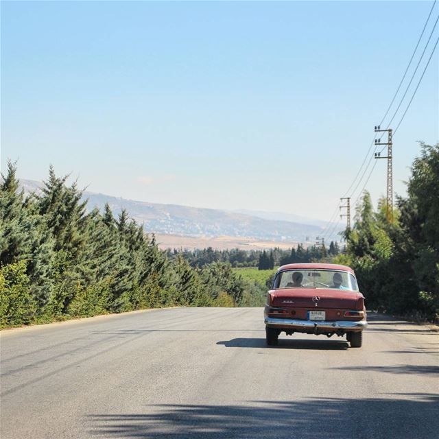 Rural traffic ❤ (Kefraya Bekaa)