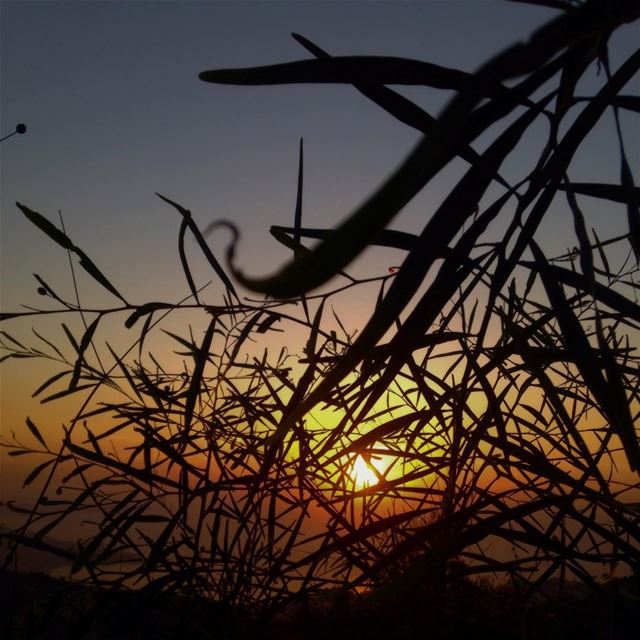 S.U.N.S.E.T 🌅 (El Ghîné, Mont-Liban, Lebanon)