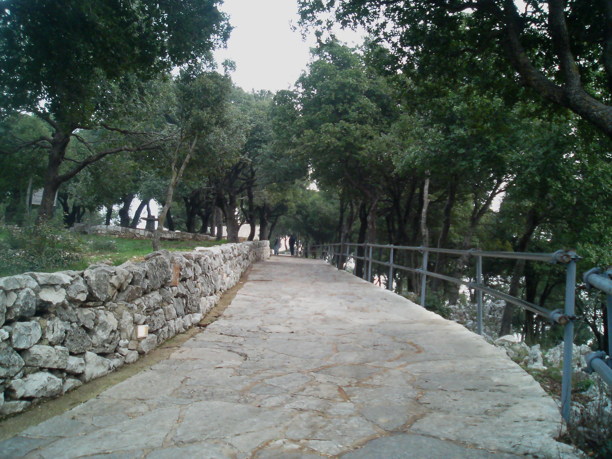 Saint Charbel Annaya December 2008