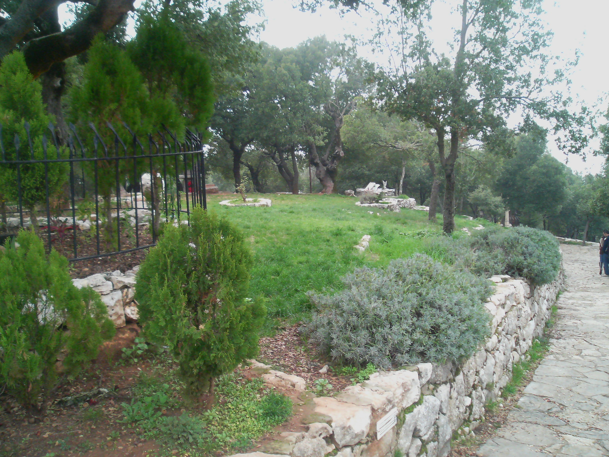 Saint Charbel Annaya December 2008