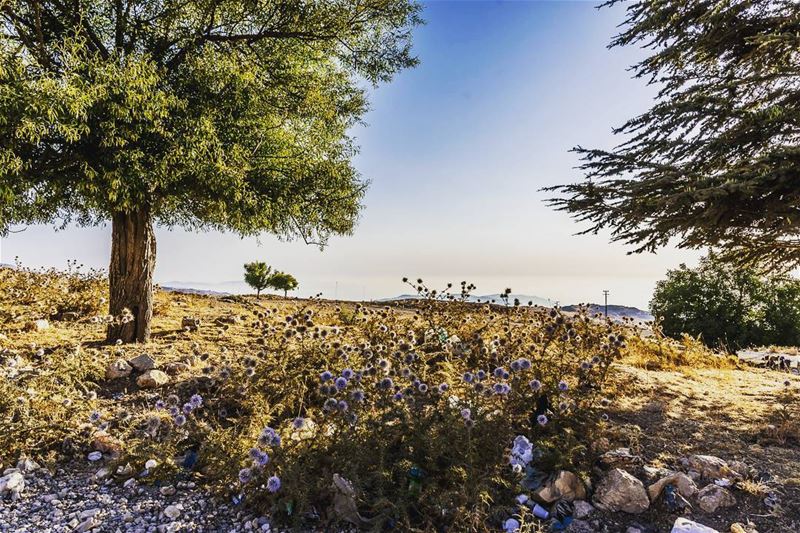 Sannine, Lebanon  lebanon  hiking  nature  outdoors  livelovelebanon ... (Sannin, Mont-Liban, Lebanon)