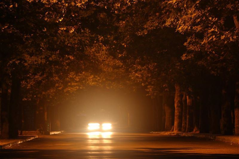  sawfar fall yellowtree... photography photographer photooftheday... (Sawfar, Mont-Liban, Lebanon)