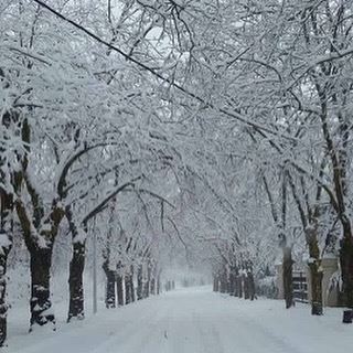 Sawfar in  lebanonصوفر - تصوير بلال البنا